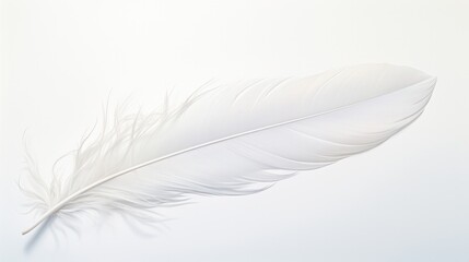 Obraz premium A white feather, its delicate barbs and vane capturing the subtle play of light and shadow, floating amidst a sea of pure white.