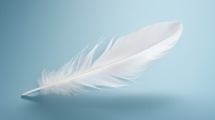 A white feather, its delicate barbs and vane capturing the subtle play of light and shadow, floating amidst a sea of pure white.