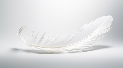 Obraz premium A white feather, its graceful curves and soft texture reminiscent of calligraphy, dancing across a field of pristine white.