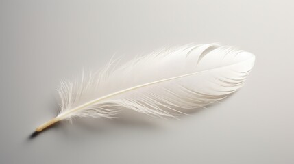 Obraz premium A white feather, its symbolic significance echoing through the ages, suspended in a timeless expanse of white.