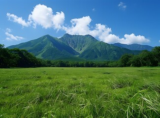 Fototapeta premium Green Grass Field with Mountain Background