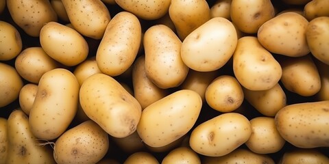 Fresh Yellow Potatoes