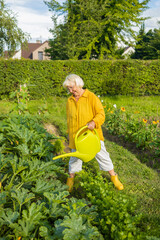 Happy 50s 60s senior woman taking care of flowers outdoors in garden, watering with can. Female...
