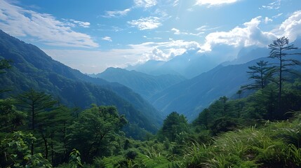 Obraz premium Panoramic view of the majestic mountains and lush green forests