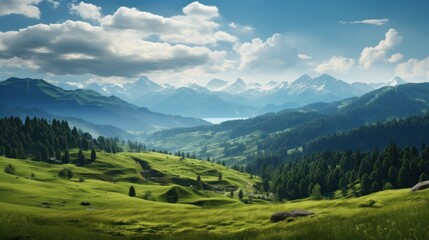 Fototapeta premium The lush and verdant Carpathian Mountains, home to a rich diversity of plant and animal life.