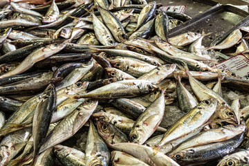 The fish and grocery market in the Markethall of Loule in the Algarve, Portugal in Europe.