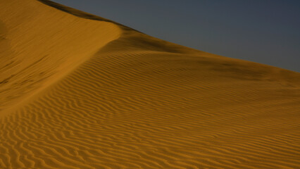 beautiful sand dunes in the desert