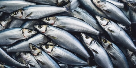 Fototapeta premium Silver Fish Close-Up