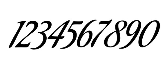 Set of hand drawn calligraphic numbers isolated on white background.Vector illustration.Hand drawn.