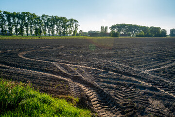 Rural landscape around sunset in the Westhoek, Belgium
