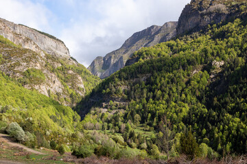 mountain range with a lush green forest and a clear blue sky. The mountains are covered in trees and the sky is clear and bright