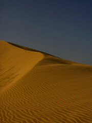 beautiful sand dunes in the desert