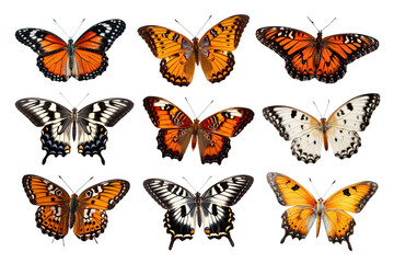 Naklejka premium Butterfly animal png element set, transparent background
