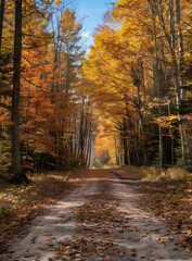 Obraz premium Country road in autumn