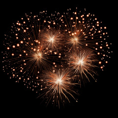 Obraz premium DIfferent colors and types of fireworks in the sky background
