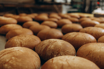 A lot of bread prepare to move on in the shelf. Bread bakery food factory production with fresh products. Automated production of bakery products.