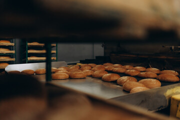 Automatic bakery production line with sweet cookies on conveyor belt equipment machinery in confectionary factory workshop, industrial food production