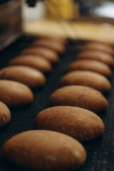 A lot of bread prepare to move on in the shelf. Bread bakery food factory production with fresh products. Automated production of bakery products.