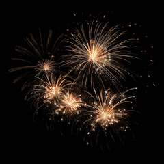 Fototapeta premium DIfferent colros and types of fireworks in the sky background
