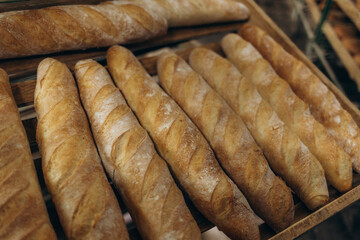 Multiple trays of baguettes fresh out of the oven at a commercial bakery in French Polynesia
