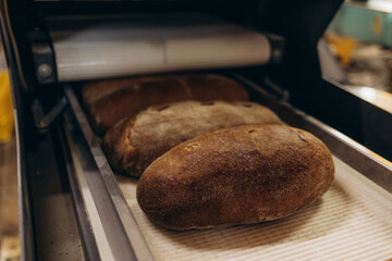 Automatic production line bakery Baked breads from hot oven.