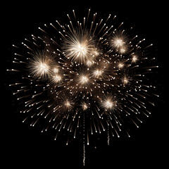 Obraz premium DIfferent colros and types of fireworks in the sky background