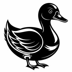 Obraz premium duck