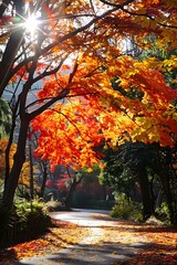 Autumn Path Through Sunlit Forest With Bright Red Leaves