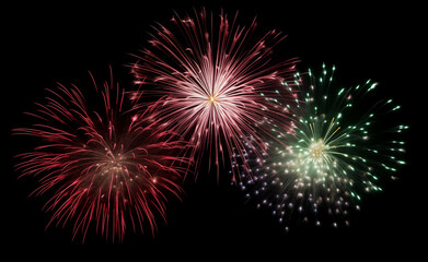 DIfferent colros and  types of fireworks in the sky background
