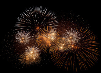 DIfferent colros and types of fireworks in the sky background