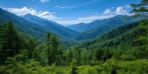 Fototapeta premium Beautiful Mountain Valley Vista with Lush Green Forests