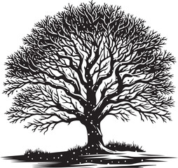 A black and white drawing of a tree with snow on the branches