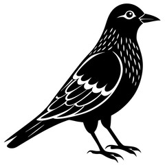 Detailed Close-Up of a Bird Icon Vector Illustration for Design Projects