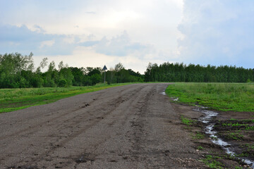 Fototapeta premium a dirt road with a forest and rainy sky on background copy space