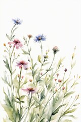 Minimalist Watercolor Wildflowers