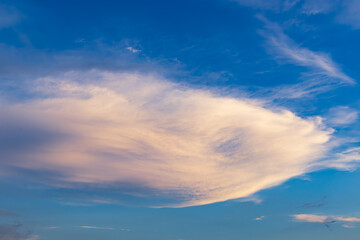Fototapeta premium 魚のような夕雲