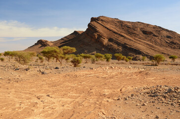 Photo of rocky mountains and green trees in the Moroccan part of the Sahara Desert