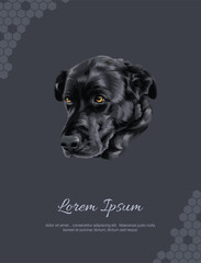 Obraz premium Vector Dog Labrador Retriever wall decor ideas