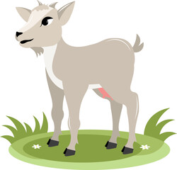 Farm Animals. Cute goat on green grass on a white background. Baby flat vector illustration.