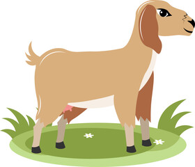 Farm Animals. A brown goat stands on green grass on a white background. Baby flat vector illustration.