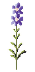 PNG False Indigo flower pixel lavender blossom purple.
