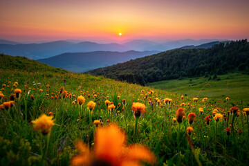 The sun sets behind the mountain ranges. Carpathian mountains, Ukraine, Europe.