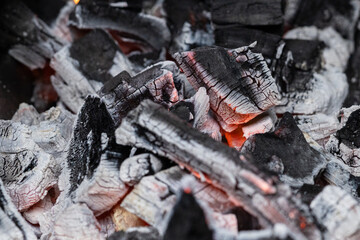 Bonfire charcoal for grilling fresh meat
