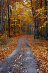Fototapeta premium Autumn forest road covered with colorful leaves