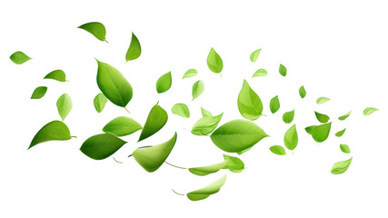 PNG floating leaf effect, transparent background. AI generated image by rawpixel.