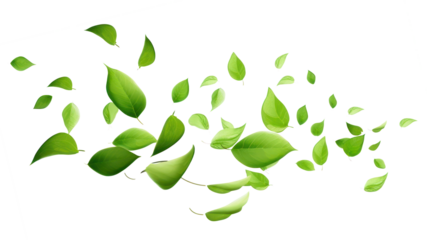 PNG floating leaf effect, transparent background. AI generated image by rawpixel.