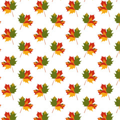 Seamless pattern for gift bag. Autumn yellow maple leaves with red and green spots white background. Leaf fall. Print for packaging and wrapping paper. Thanksgiving and Harvest Festival. September 1.