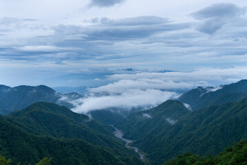  蛭ヶ岳の雲海03