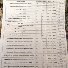Obraz premium The results of real medical blood tests in the hospital. Inscriptions in Russian