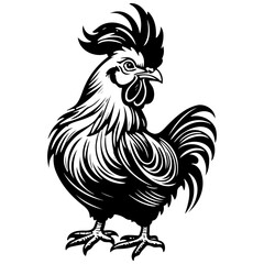 cartoon rooster engrave hand drawn line illustration, transparent background